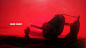 CS_NUP_106.png
