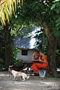 琅勃拉邦，橙色飘摇的晨起布施【老挝】, 桔猪旅游攻略