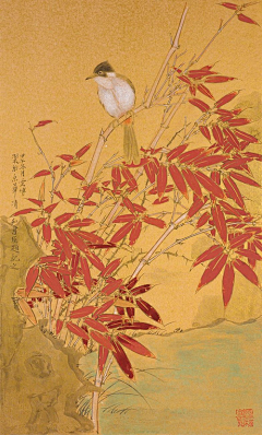 冰魇采集到工笔花鸟