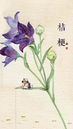 无尾猫采集到花