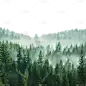 风光系列绿色合成云雾山林通用元素素材