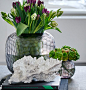Vases