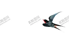 燕子素材 【酷图网】春分,柳叶,叶子,免扣,燕子,春燕,卡通燕子,水墨燕子,手绘燕子,燕子插画,黑白燕子,燕子飞翔,燕子飞行,鸟,鸟类,飞禽,飞鸟,动物,生物,素材
