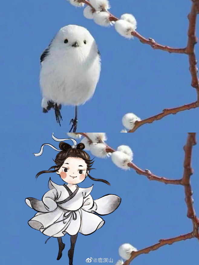 置顶 整理贴：
课程咨询小助理：️Wan...