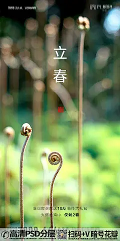 QQ28275342绿色清新叶子立春节气海报 (3)
