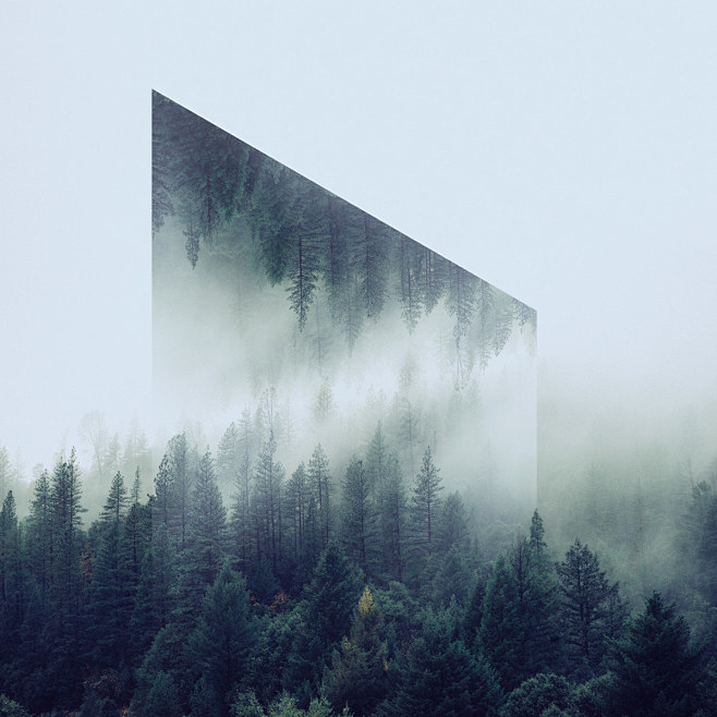 Geometric Reflection...