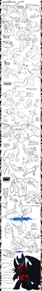Animal Sketches by Altalamatox.deviantart.com on @deviantART || CHARACTER DESIGN REFERENCES | Find more at: