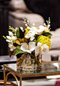 Beautiful orchids for the home or office!