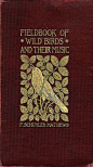 This Ivy House — lost-in-centuries-long-gone: ‘Field book of wild...