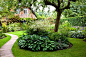 Under planted tree in country garden - © Rachel Warne/GAP Photos