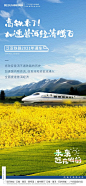 【作品】德商文商旅x云南普洱那柯里微信作品 : 【地产广告库】专注优秀地产广告分享平台