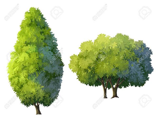 illustration of tree...