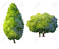 illustration of tree for cartoon isolated on white background : 123RF - Millions of Creative Stock Photos, Vectors, Videos and Music Files For Your Inspiration and Projects.