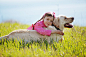 草地上抱着小狗的女孩图片