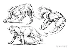 超赞的动物手绘速写❤️满满的张力与生命力~（出自作者： ​ ​​​​Christine Bian）

#手绘# #每日一画# #绘画参考# ​​​​