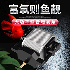 华夏儿女采集到速卖通选品
