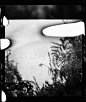 Photo by Annie Spratt on Unsplash : 120mm film photo, shot with Lubitel 2. Download this photo by Annie Spratt on Unsplash