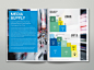 IPG Media Economy Report on the Behance Network