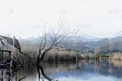 托斯卡纳区,沙漠绿洲,自然保护区,卢卡,云,壁纸,船,海岸线,湖,泻湖