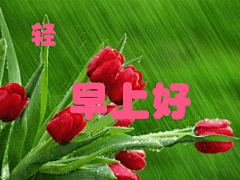 中老年表情包|早起的你吃早饭了吗
