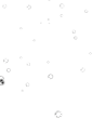 泡5