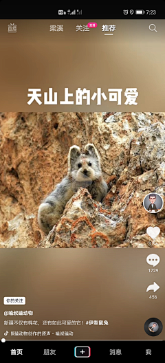 娜大汪采集到动物灵感来源