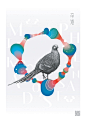 寻声鸟创作--台湾特有鸟类海报设计_ 艺术中国