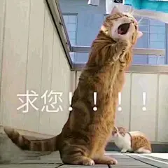 【图片】给我表情包找个小窝_表情包吧_百度贴吧