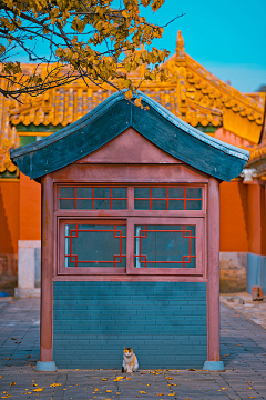 子竹*shirley采集到摄影美图
