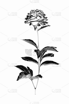 7HiqaddK采集到水墨素材