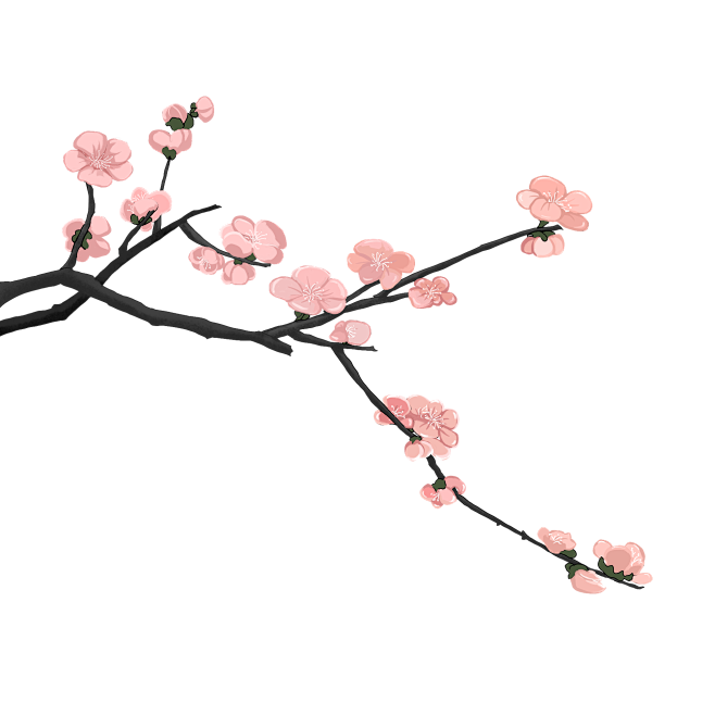 png 中国风 桃花