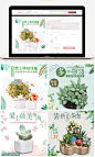 淘宝天猫多肉植物主图模板