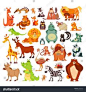 Great set of cartoon animals, birds from around the world. African animals,forest animals as signs,icons,design elements.Vector illustrations isolated on white background. Education, kid design image vector