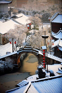 翠玉竹林采集到雪景