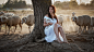 People 2048x1152 women sitting animals lamb sheep women outdoors trees barefoot model looking away dress white dress redhead pointed toes
