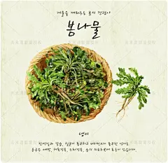手绘水彩PSD分层插画 蔬菜芹菜香菜青菜白菜野菜蒜苗复古背景素材-tmall.com天猫