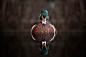 Double duck by Andre Villeneuve on 500px