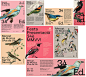design identity music Advertising  branding  design system palette poster