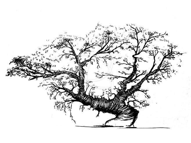 #原创插画#树人结合 手绘图形图形创意 ...