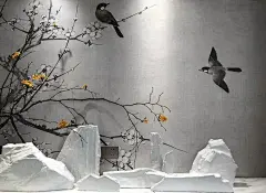 Happiness Tern - Picture gallery