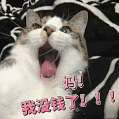 妈！我没钱了！#要零花钱#表情包
