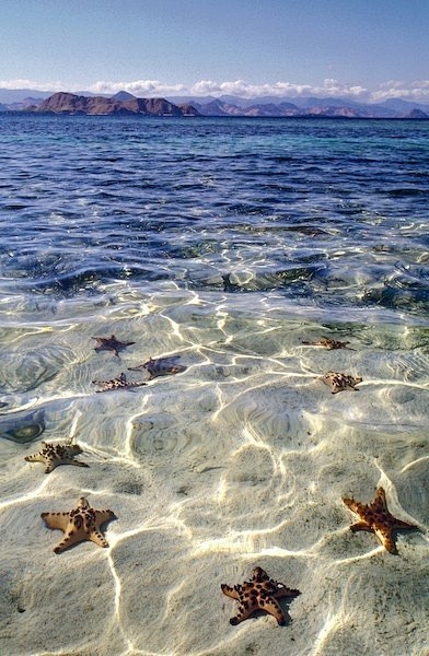 Starfish Beach, Gran...