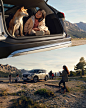 automotive   details family Interior lifestyle Nissan Photography  suv x-trail