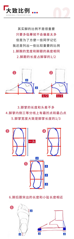 繁缕w采集到脚结构