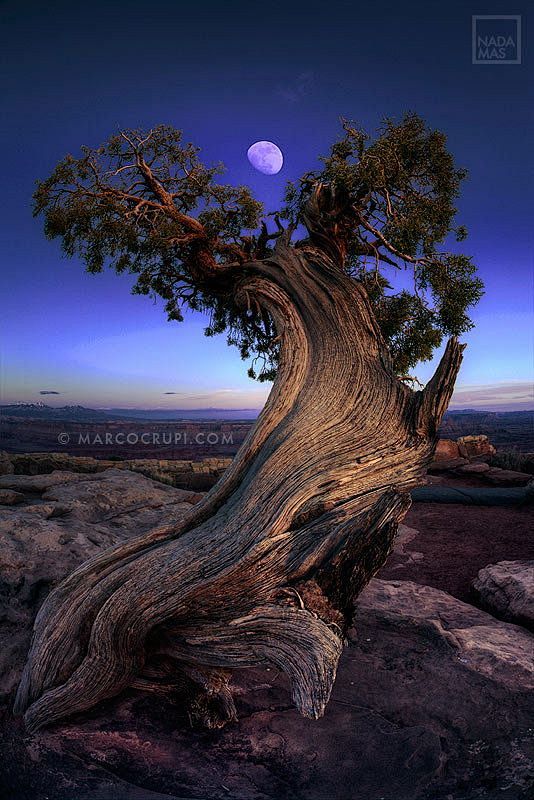 500px / Night Guardi...