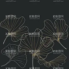 银杏叶  - 源文件下载【酷图网】线描,手绘,银杏叶,家纺图案,抱枕图案,