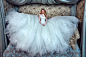 Corina_Galia_Lahav_LeSecretRoyal