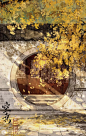 This contains an image of: 