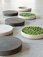 Atellier Vierkant planters, price upon request, Atelier Vierkant, S.F., ateliervierkant.com. PHOTO: Bart Van Leuven