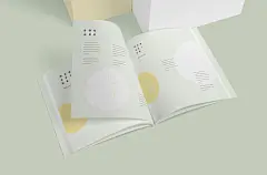 毕业设计作品小清新文创名片书籍样机